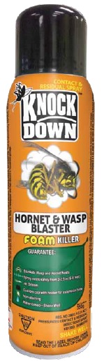knock down wasp and hornet foam