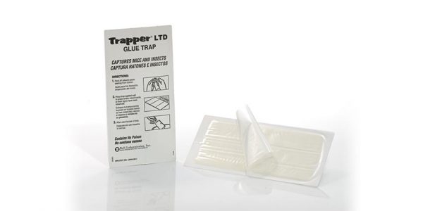Trapper MC Glue Traps
