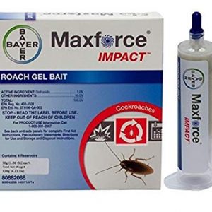 Maxforce Impact Roach Gel